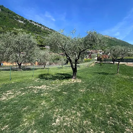 Apartamento Terra *